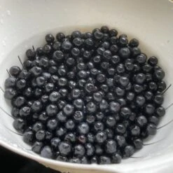 Apfelbeere 'Nero' 34 Apfelbeere 'Nero' -Günstiges Erd Seele Geschäft apfelbeere nero m002526 1082118 0