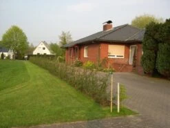 Feuerdorn 'Red Column' -Günstiges Erd Seele Geschäft b030670 Feuerdorn Red Column 69971 2