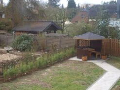 Bambus 'Jumbo' 26 Bambus 'Jumbo' -Günstiges Erd Seele Geschäft bambus jumbo m006996 271123 0