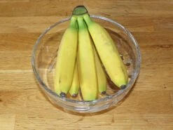 Darjeeling-Banane / Bananenstaude 'Red Tiger' -Günstiges Erd Seele Geschäft darjeeling banane bananenstaude red tiger m114572 w 2