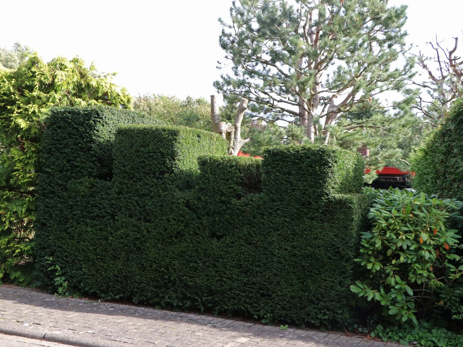 Eibe 4 Eibe – Bild 2