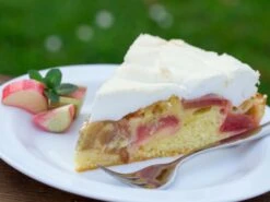 Erdbeer-Rhabarber / Himbeer-Rhabarber 'Frambozen Rood' -Günstiges Erd Seele Geschäft erdbeer rhabarber himbeer rhabarber frambozen rood m102689 w 1