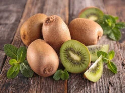 Kiwipaket 'Hayward' Weiblich Und 'Atlas' / Männlich