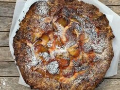 Pfirsich 'South Haven' 9 Pfirsich 'South Haven' -Günstiges Erd Seele Geschäft pfirsich south haven m006726 w 4