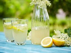 Schwarzer Holunder 'Riese Aus Vossloch' -Günstiges Erd Seele Geschäft schwarzer holunder riese aus vossloch m008244 w 1