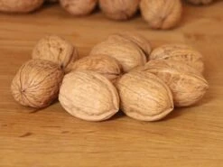 Walnuss 'Jupiter'