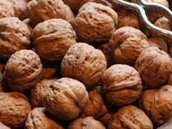 Walnuss 'Mars' Veredelung