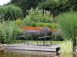 Weißer Wasserdost 'Bartered Bride' -Günstiges Erd Seele Geschäft weisser wasserdost bartered bride m080016 w 3