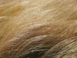 Zartes Federgras 'Ponytails' -Günstiges Erd Seele Geschäft zartes federgras ponytails m054229 w 4