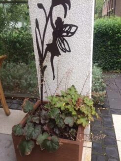 Zipfelblättrige Schaumblüte 'Spring Symphony' -Günstiges Erd Seele Geschäft zipfelblaettrige schaumbluete spring symphony m102168 193676 0